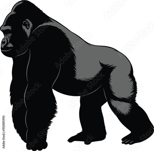 Powerful silverback gorilla mascot vector illustration, majestic primate standing profile, wild jungle animal graphic for zoo and conservation logo design.