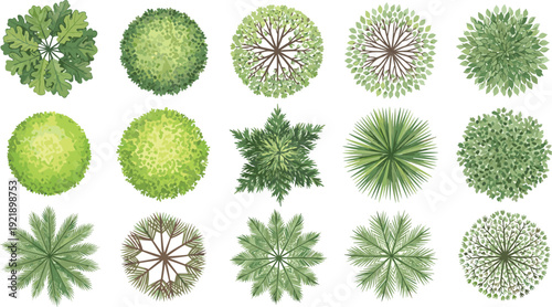 Set of top view green trees, flat vector illustration for landscape design, park map elements collection isolated nature bundle template