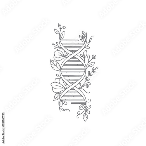 Dna helix with floral elements hand drawn line art illustration on transparent
