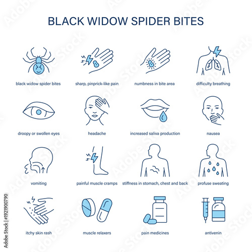Black Widow Spider Bites symptoms, diagnostic and treatment vector icon set