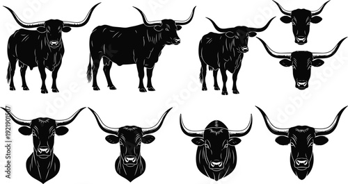 Bull silhouette set, long horn cattle vector illustration, black livestock icons collection, farm animal outline design, ranch branding graphic