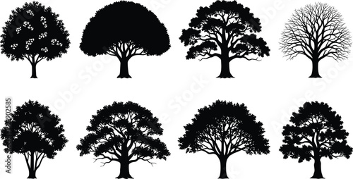Tree silhouette collection, forest oak and deciduous trees vector set, black and white nature landscape design elements