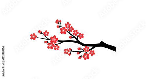 Delicate Cherry Blossom Branch with Red Flowers, Japanese Sakura Bloom on Isolated White Background