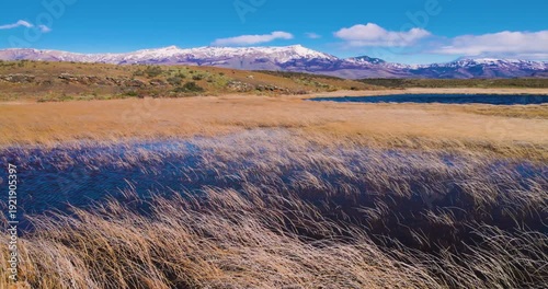 Landscape with lake and mountains; reed blowing in the wind; Torres del Paine national par, Chile