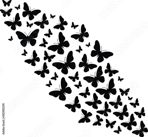 Black butterfly silhouette collection, flying swarm vector illustration isolated on white background, decorative nature design element for wall art