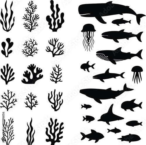 Marine life silhouettes collection, ocean animals fish whales sharks and coral isolated on white background vector illustration set