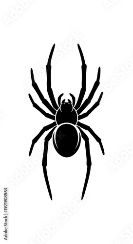 Black spider silhouette