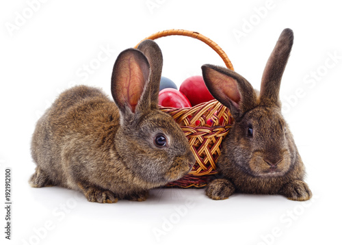 Two rabbits with Easter eggs in a basket.