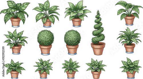 Flat vector illustration of various green potted plants and indoor bushes in clay pots, isolated on a white background.