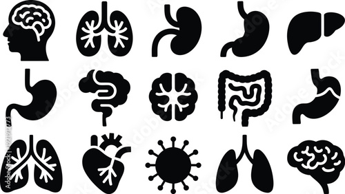 Black Medical Organ Icons on White Background