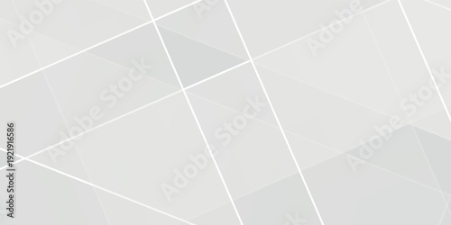 Modern white and gray background. smooth abstract background  blurred pattern. Light pale vector background simple abstract design