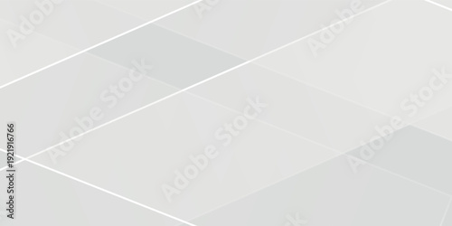 Modern white and gray background. smooth abstract background  blurred pattern. Light pale vector background simple abstract