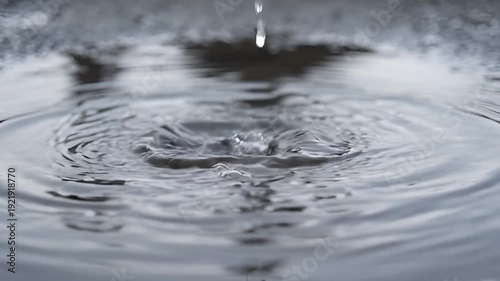 Water droplet splashing into a puddle creating ripples on the surface