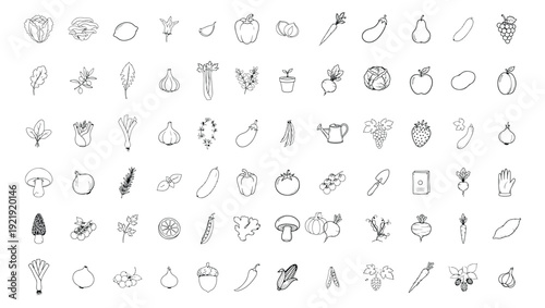 Organic produce doodles, vector vegetables and fruits illustrations