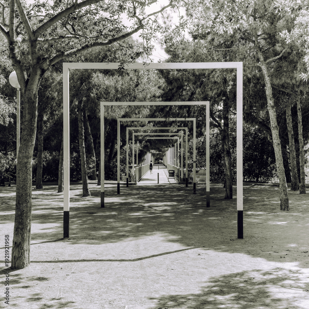 Foto GEOMETRY UNDER THE TREES