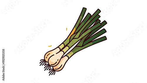 A cluster of green onions, illustrated, white bulb and green stalks on a white background