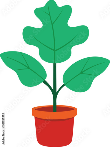 Fiddle leaf fig plant illustration in colorful pot