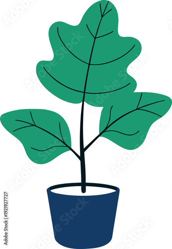 Potted fig plant illustration with three green leaves