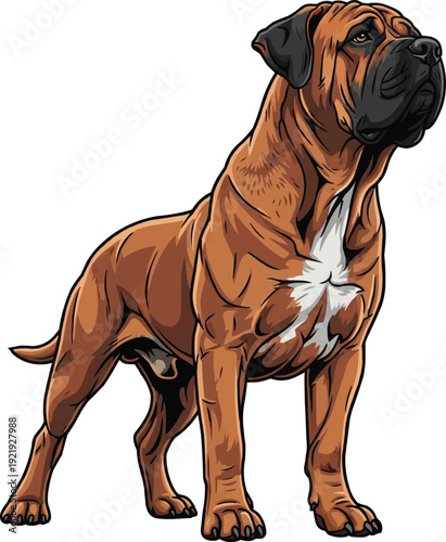 Tosa Inu dog standing alert focused guarding stance illustration