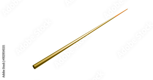Tableau sur toile Snooker cue stick for playing in a transparent background