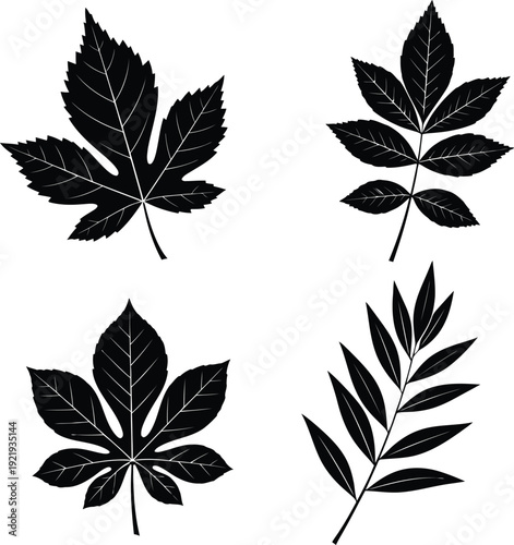 vector set of leaves