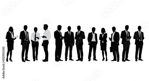 Diverse group of business professionals standing together in silhouette.