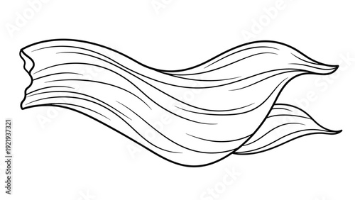 Flowing black and white strands of long hair waving in the breeze represent beauty fashion or personal grooming styles for women.
