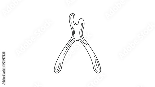 Traditional turkey or chicken wishbone stands as a symbol of luck hopes and making a wish during family holiday dinners.