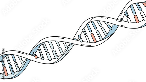 DNA double helix structure with colored base pairs for genetics research, biology study, and scientific biotechnology concepts.