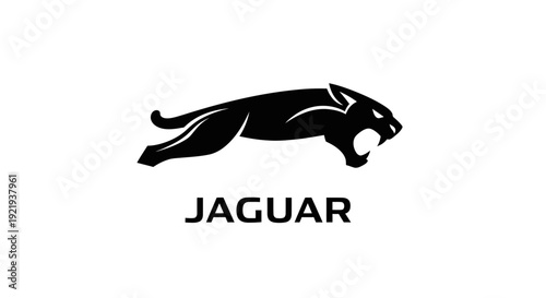 Jaguar car brand logo symbol.