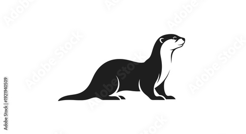 Otter animal mammal black white.