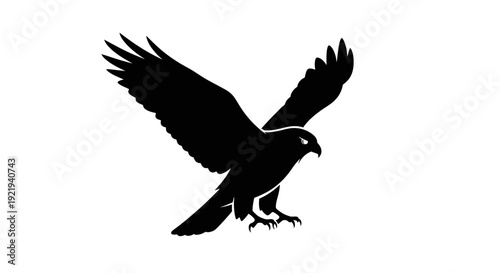 Black silhouette of flying eagle bird.