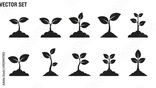 Minimalist Black Vector Icons Plant Seedling Growth Stages Silhouettes EPS10 Stock.eps
