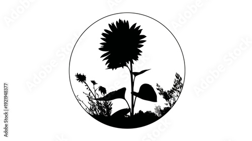 Silhouetted sunflower and other plants contained within a circle against a white background