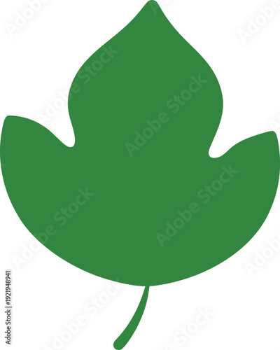 Green fig leaf illustration with three lobes