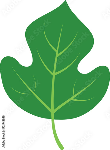 Vibrant green fig leaf with detailed veins