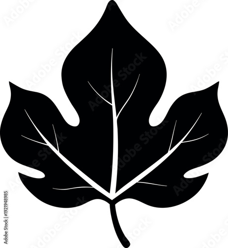Silhouette botanical illustration of a fig leaf
