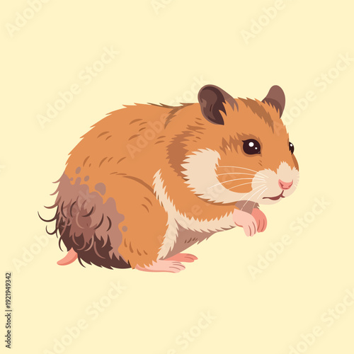 Cute Cartoon Hamster Illustration
