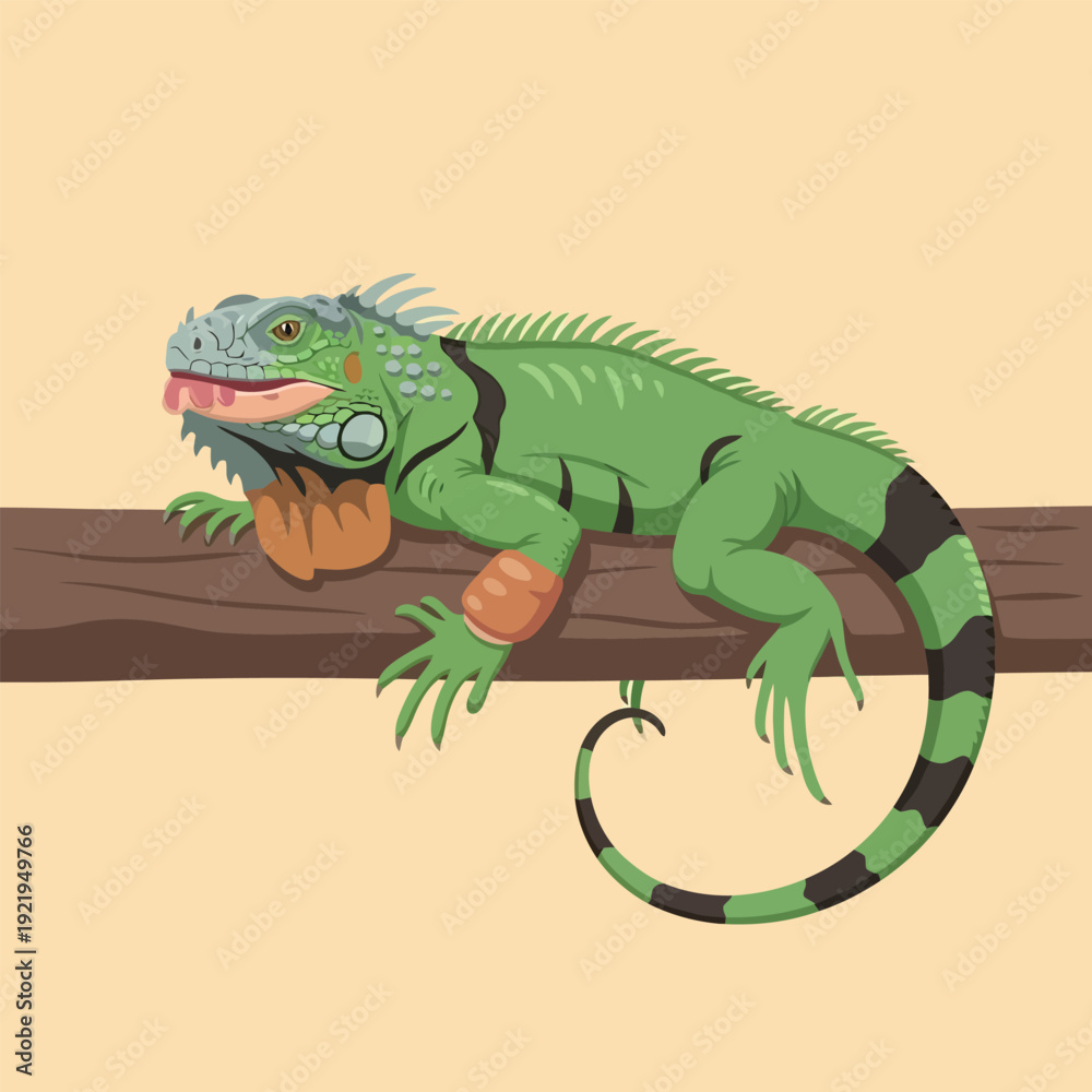 Obraz premium Green Iguana on a Tree Branch