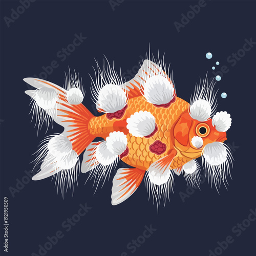 Infected Goldfish With Cotton Wool Disease