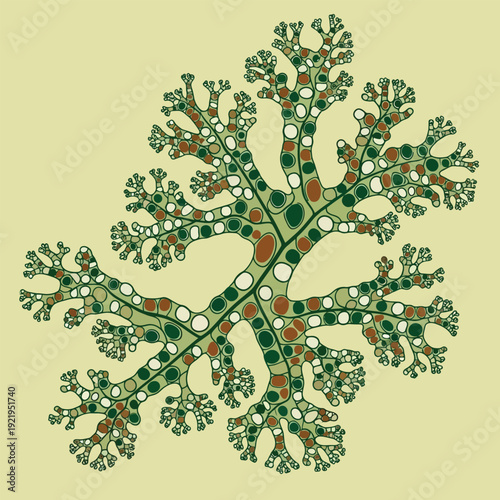 Abstract Organic Fractal Pattern
