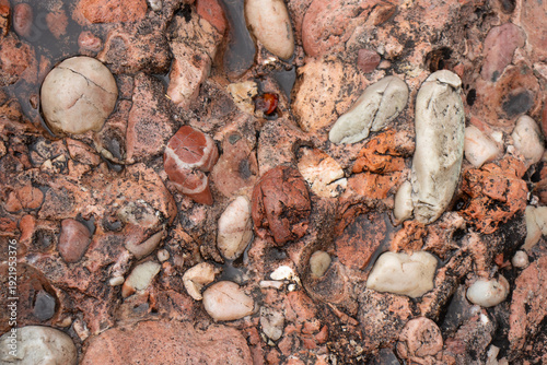 Wallpaper Mural Incredible natural texture of brown rock with little rocks Torontodigital.ca