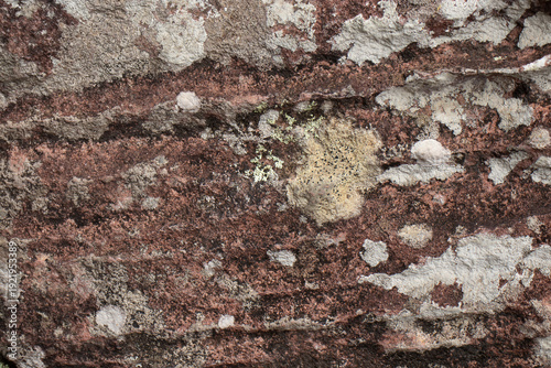 Wallpaper Mural Incredible natural texture of brown rock Torontodigital.ca