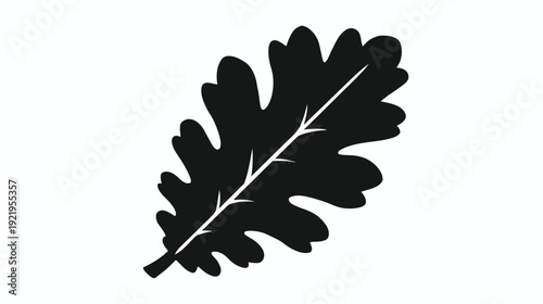 A black-and-white depiction of a leaf, with a prominent central vein and lobed edges