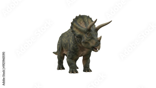 Triceratops dinosaur with three horns 3d rendering