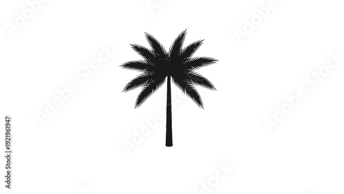 Vector illustration of silhouette of a palm tree on a transparent background