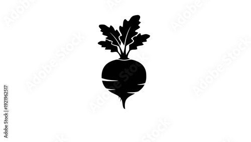 Vector illustration of black silhouette of a fresh beet root vegetable with green leaves on a transparent background