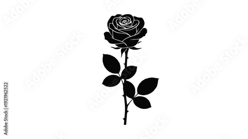 Vector illustration of black silhouette of a single rose flower with stem and leaves on on a transparent background