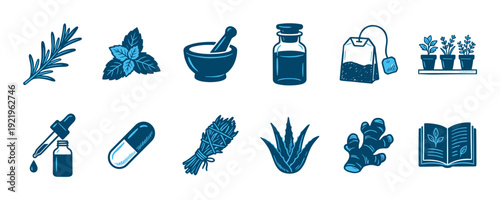 Collection of blue herbal medicine icons showing natural remedies like rosemary, mint, ginger, aloe vera, a sage smudge stick, and a mortar and pestle in a hand-drawn vector style