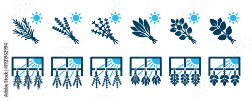 Set of herb drying icons showing plants like rosemary and lavender being air-dried in the sun or hung upside down in a window for natural preservation